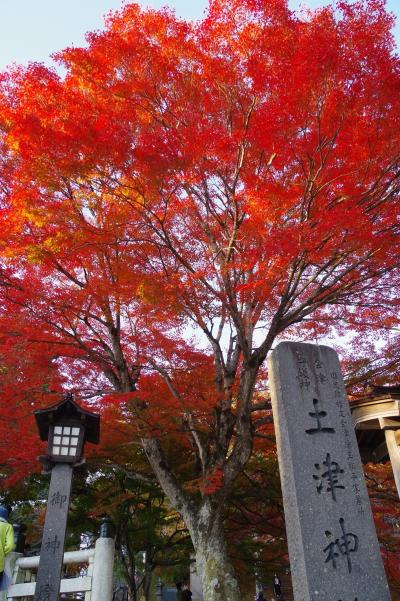 万物の理を究められた会津藩主を祭るこどもと出世の神様、土津神社の紅葉