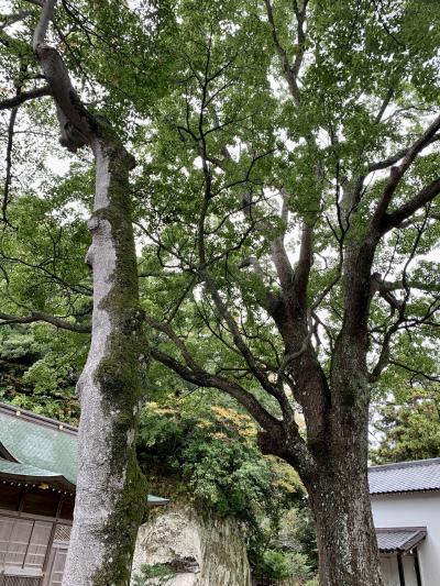 金運で有名な神社