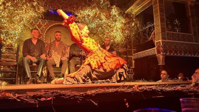 席に当たり外れあり、食事はつけなくていいかも