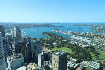 景色が良かったです