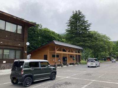 奥入瀬渓流の入口！新緑の時期の日曜日でも早い時間はガラガラでした