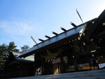 緑豊かな神社