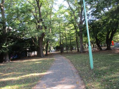 札幌郊外の自然豊かな公園