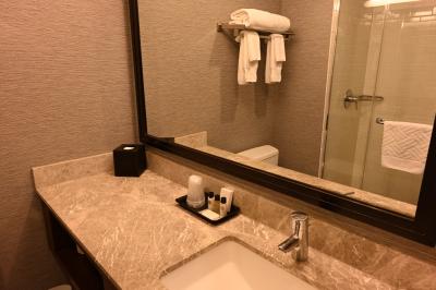 洗面は広く使いやすい