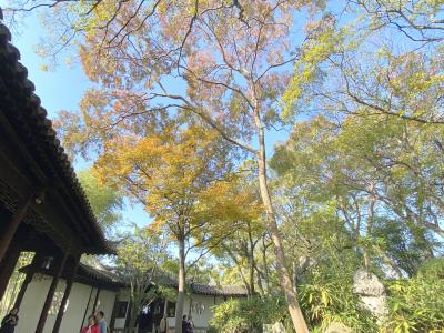 蘇州最古の庭園「滄浪亭」 　紅葉情報