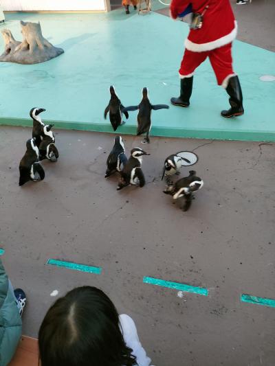 体験型の水族館