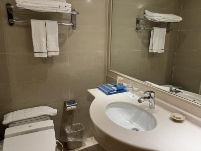 トイレは紙が流せない