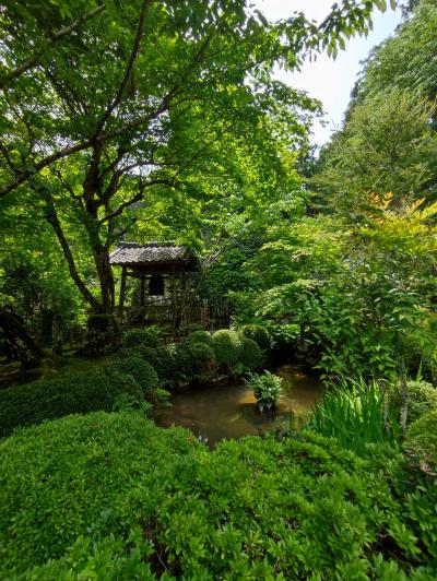 盛者必衰を経験した女性の終の棲家