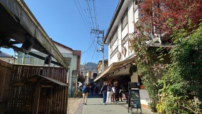 飲食店や土産物店が並ぶ岩畳通り。