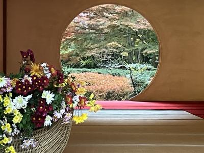 紅葉を見に明月院にいきました。