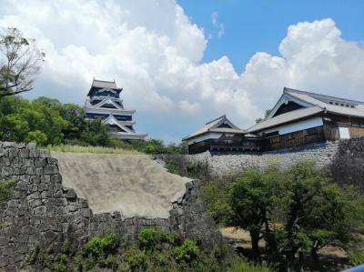 熊本地震から復旧工事が進む熊本城。