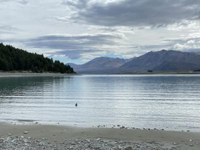 敷地前の湖