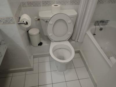 トイレはちょっと古い