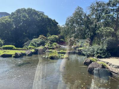 広大な日本庭園