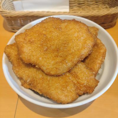 只見線経由でタレカツ丼を食べに！