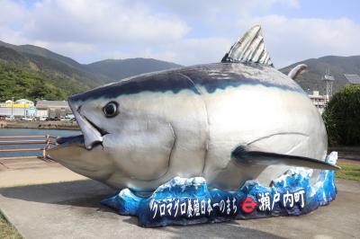 奄美大島の南端の「海の駅」です