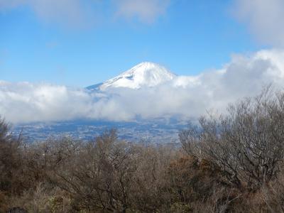 金時山･･･箱根で人気の山
