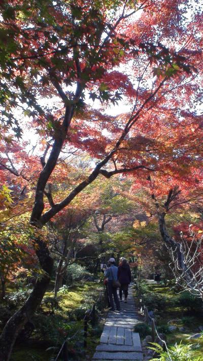 呉越同舟の墓がある