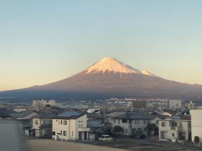 夕日が当たってキレイ