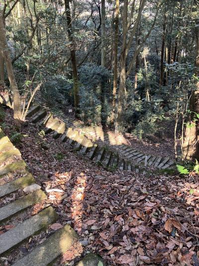 山道が完璧なまでに整備されてます