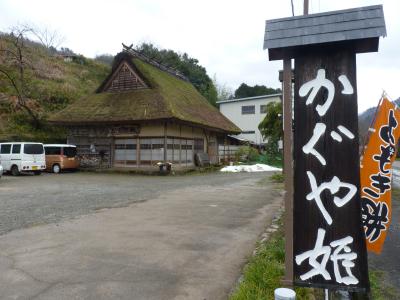 ヨモギ団子の山菜の味を求めて