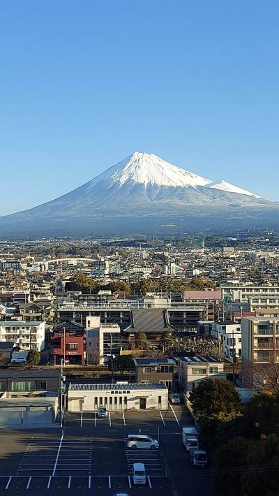 部屋から富士山の絶景が絵画のよう