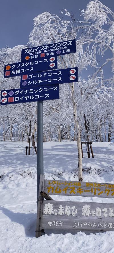 雪質日本一のローカルなスキー場