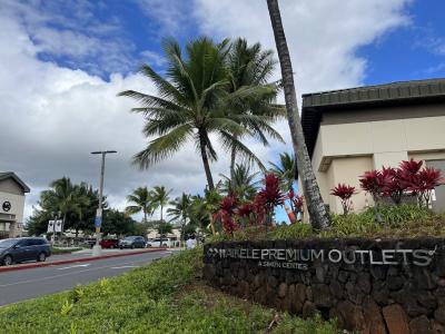 とても安いので買いすぎ注意。。。