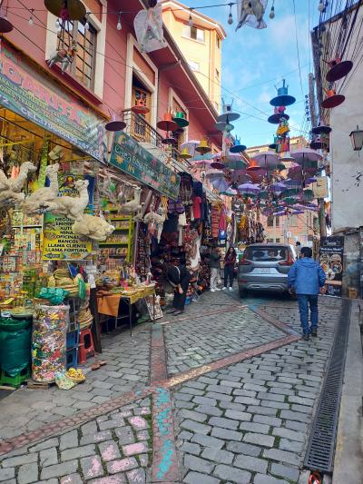 リャマの胎児のミイラ