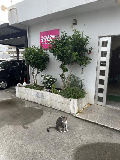 まちなかのレンタカー屋さん