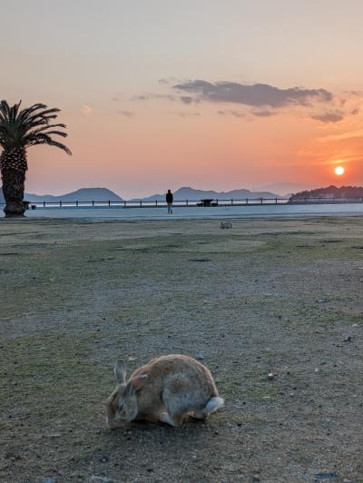 うさぎ意外にも魅力がたくさん！大久野島