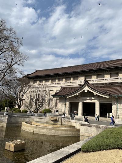 平泉中尊寺展を拝見しました。裏側の庭園も趣あり