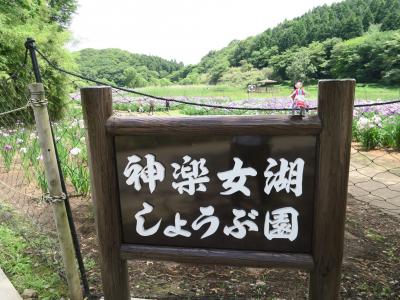 別府の神楽女湖の花菖蒲は見事(^^)