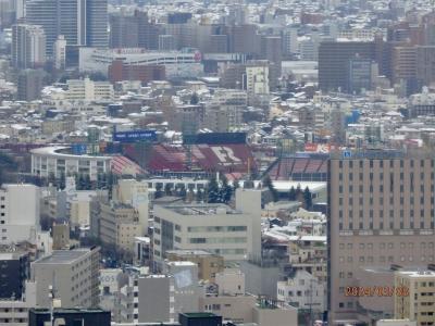 仙台市街を上から見ましょう