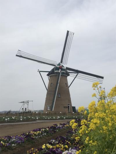 オランダ風車が目印です