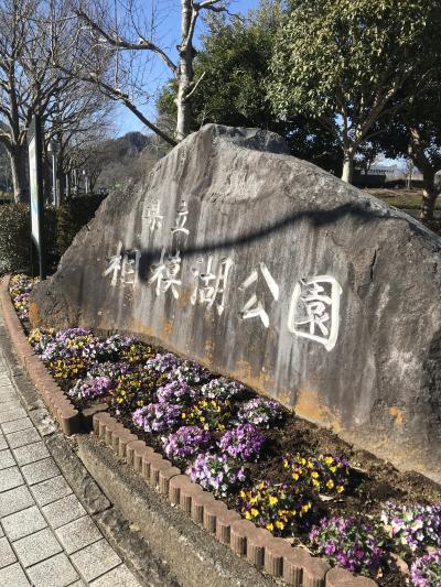 県立相模湖公園