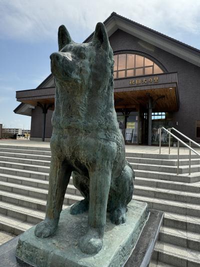 秋田犬の魅力を発信する施設♪( ´θ｀)