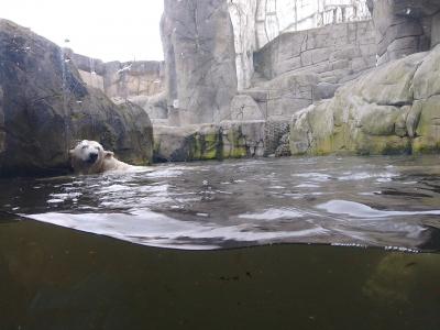 世界で初めて檻を無くした動物園