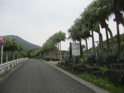 都立八丈植物公園