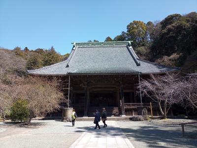 鎌倉駅から徒歩　妙本寺