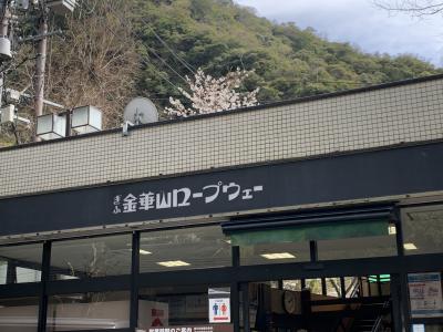 山頂まで約４分、眼下に広がる長良川や街の景色、山の風景も綺麗でした。