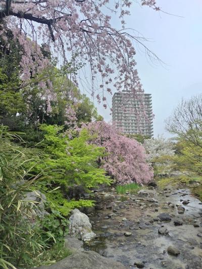 大きな庭園