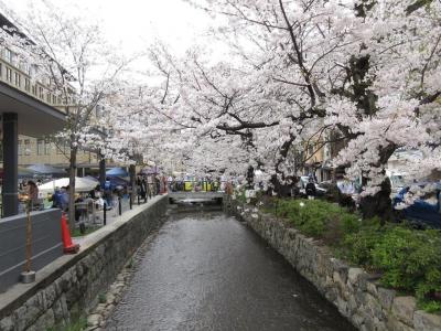 木屋町の脇を流れています