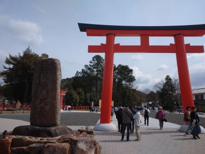 いろいろな桜も楽しめる神社です。