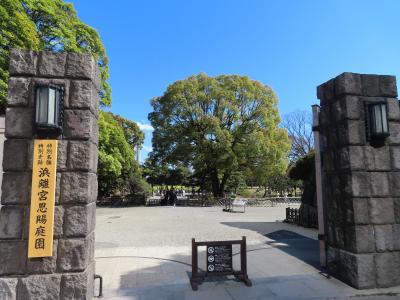 江戸時代の代表的な大名庭園　背景には近代ビル群