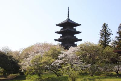 総社観光の目玉と云える重厚な五重塔がそびえ立つ真言宗御室派の寺院。山号は日照山。本尊は薬師如来。