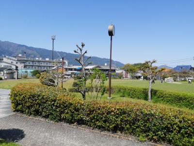 子供が遊べる遊具と芝生の広場があります