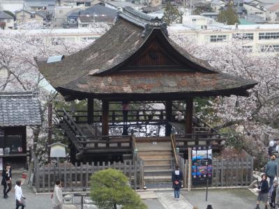 広い境内。琵琶湖の眺めがいい。