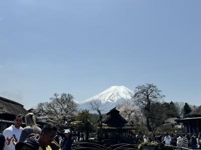 外国人だらけで日本語が聞こえないくらいでした。