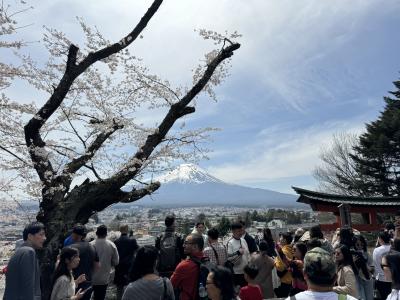 ベビーカーで公園まで、階段横の迂回道路で上がれます。展望デッキへはベビーカーで行けません。